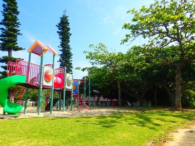 🌳 신에이 공원 (新栄公園)